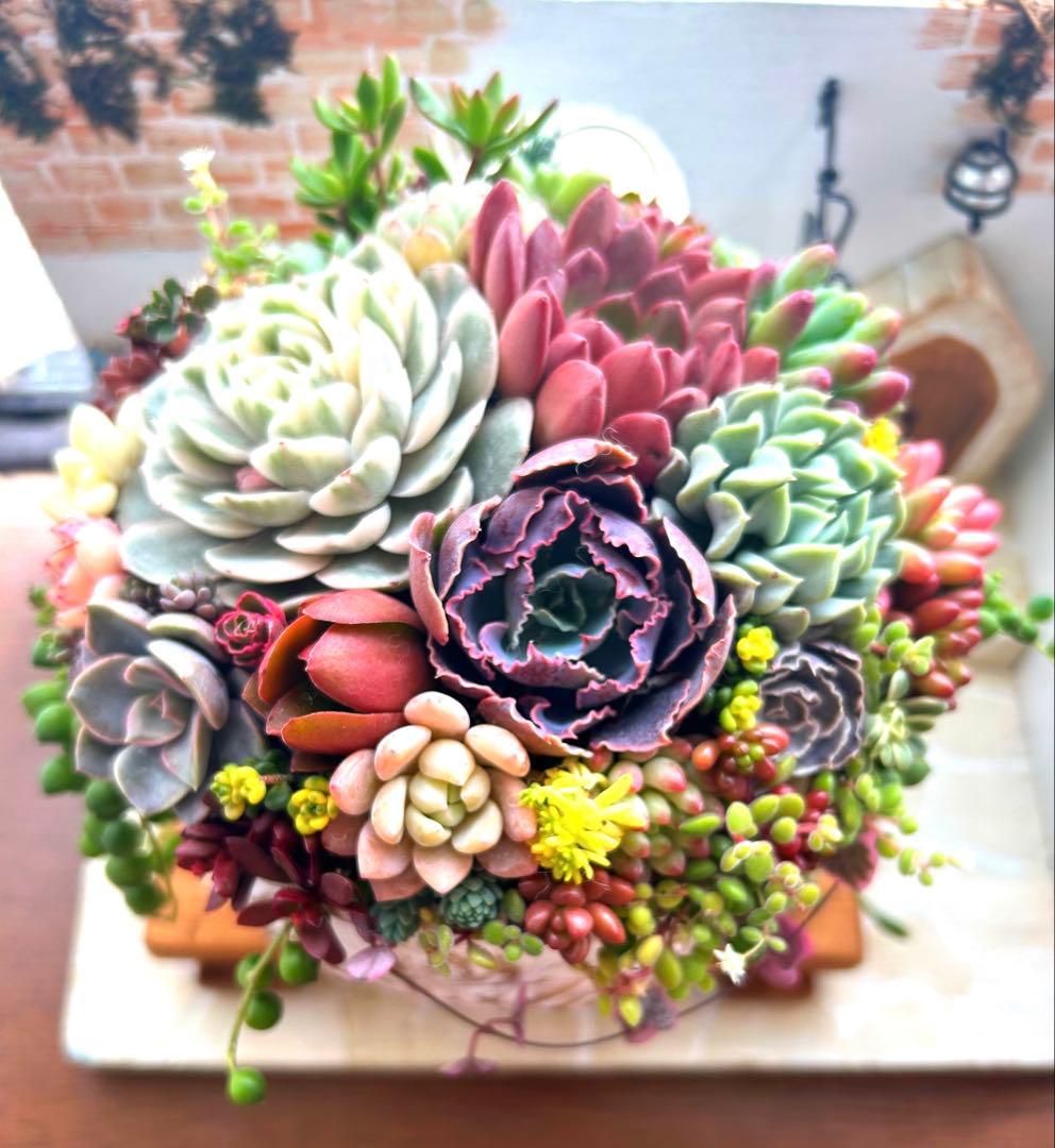 ❤️お年賀.お年玉.❤️多肉植物そのまま飾れる❤️アンティークレトロ鉢バラ大きめ