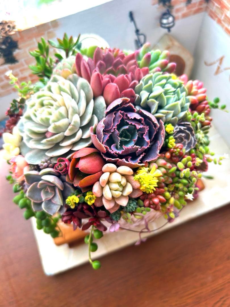 ❤️お年賀.お年玉.❤️多肉植物そのまま飾れる❤️アンティークレトロ鉢バラ大きめ