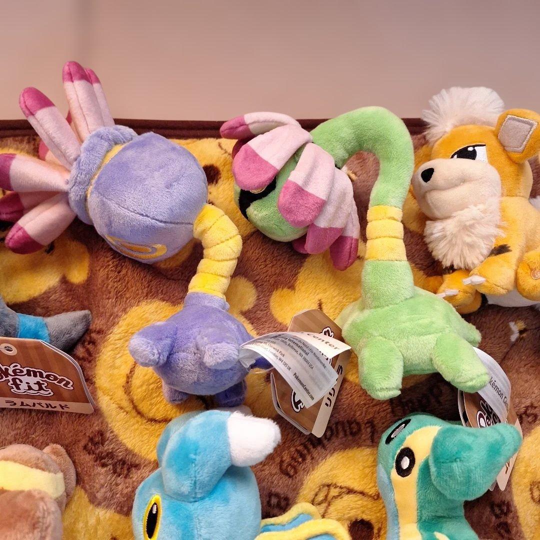 旧タグ付き　合計24個　ポケモンセンター　FIT　まとめ　新品～未使用に近い