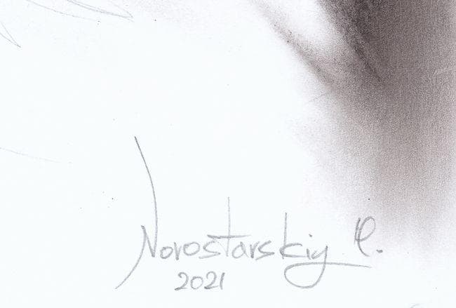 イラスト原画　ふんわりとした手触りが伝わる　「白猫」