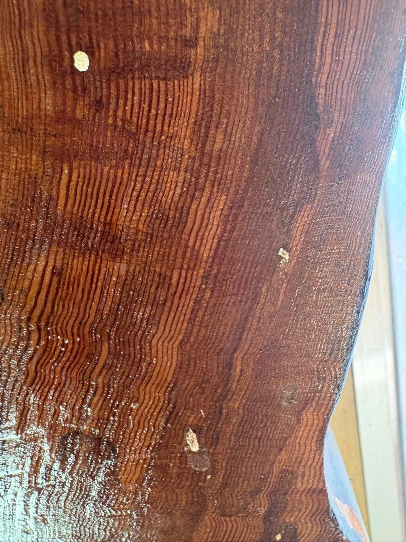 屋久杉？ ※認定無 NCNR 画像で判断出来る方のみ