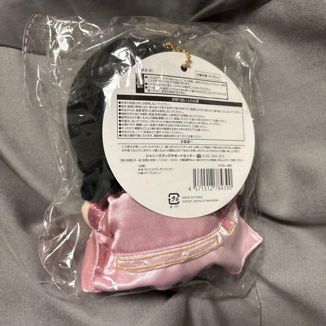 道枝駿佑　ちびぬい