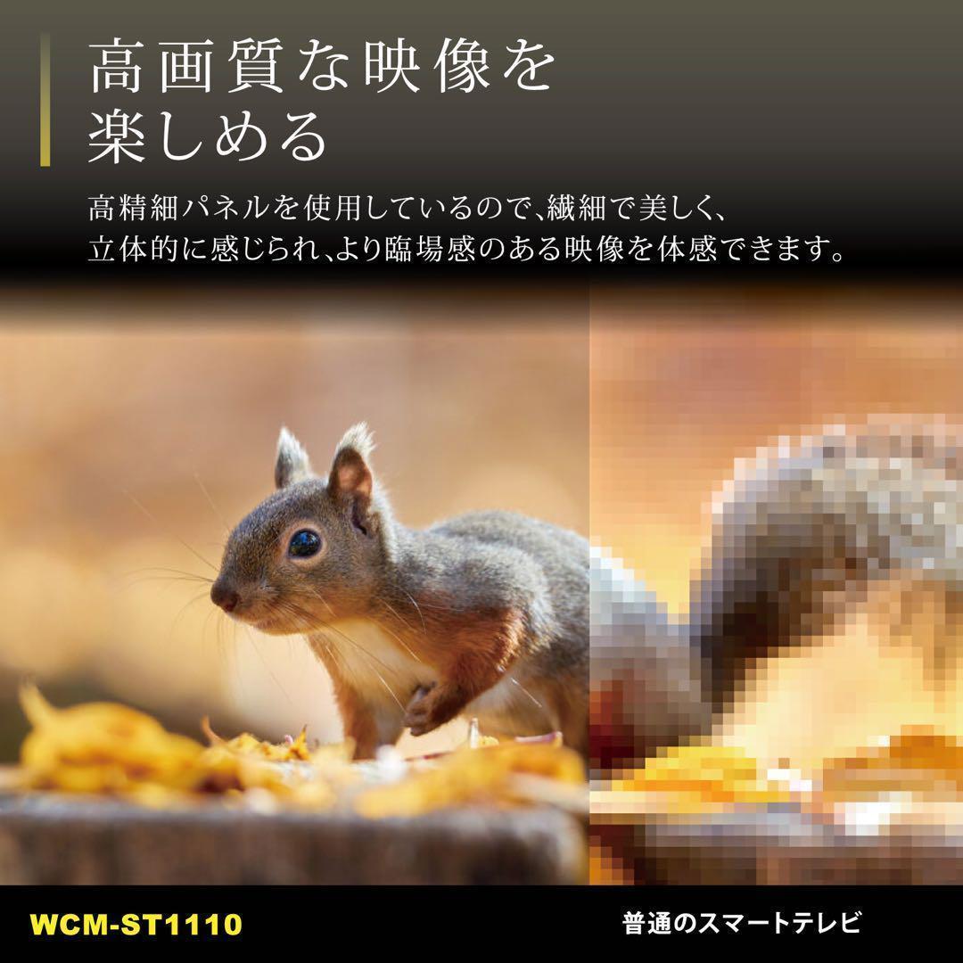 Wizz チューナーレス スマート テレビ ディスプレイ 液晶 11.6インチ