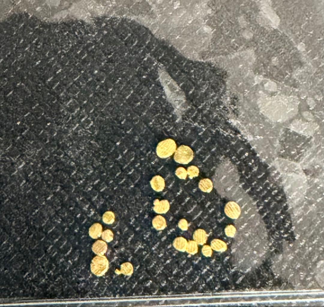土肥金山　砂金24K 22粒