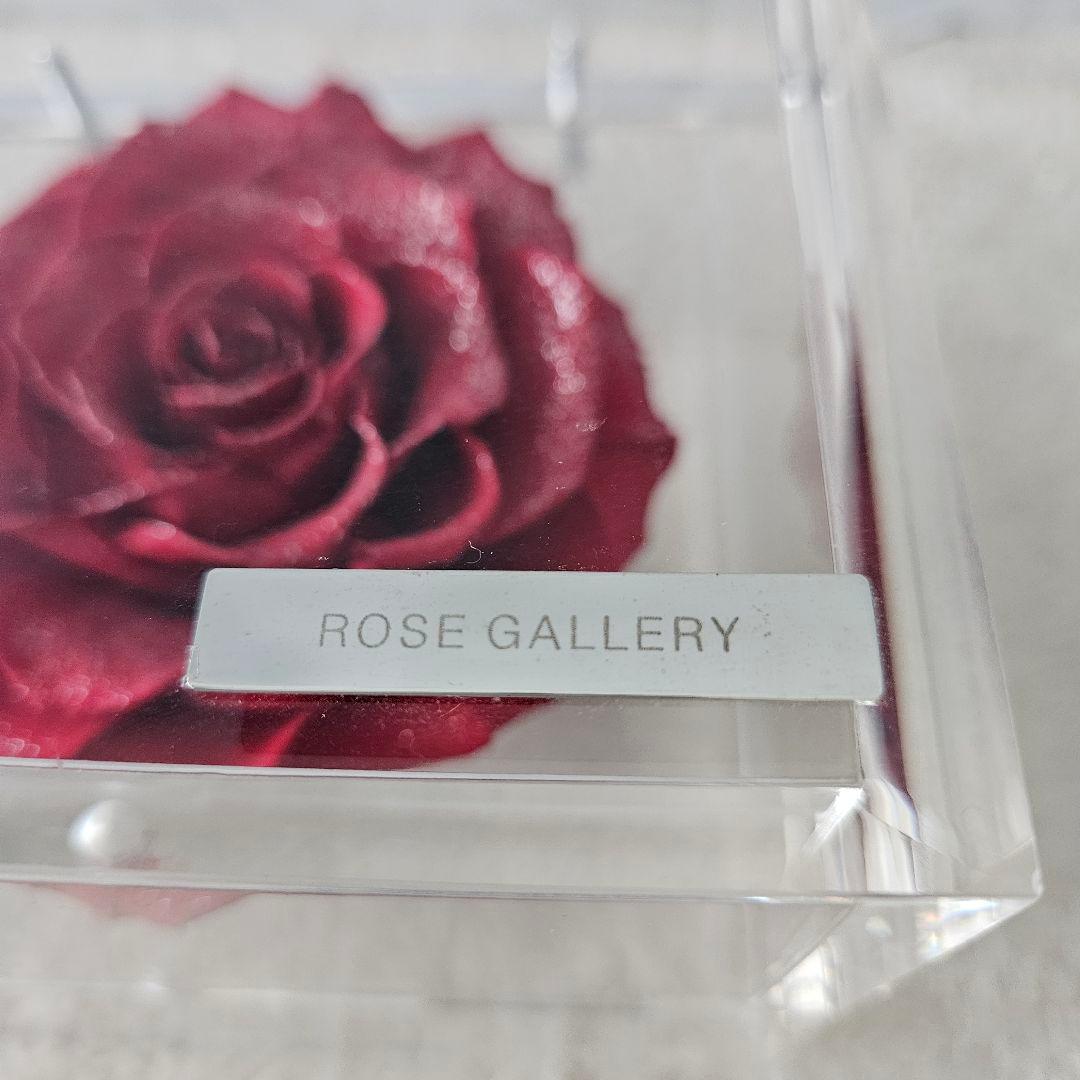 【美品】ミュゼ ダイヤモンドローズ ROSE GALLERY　外箱無し