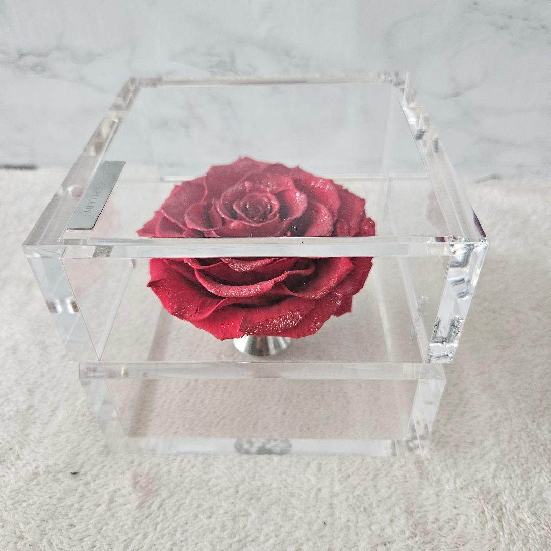 【美品】ミュゼ ダイヤモンドローズ ROSE GALLERY　外箱無し