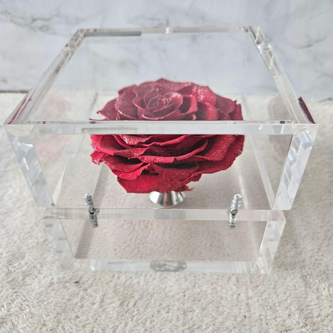 【美品】ミュゼ ダイヤモンドローズ ROSE GALLERY　外箱無し