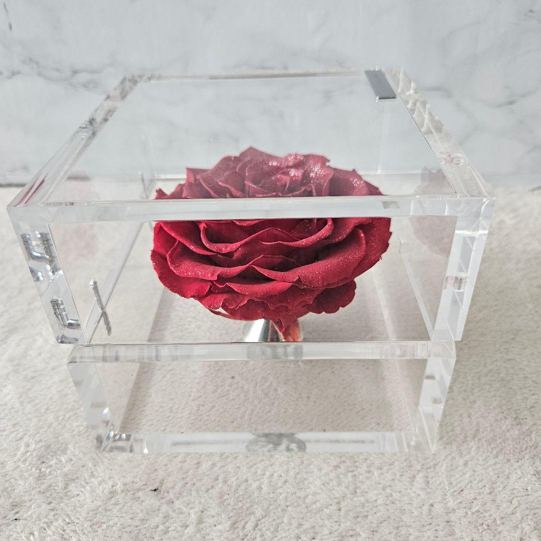 【美品】ミュゼ ダイヤモンドローズ ROSE GALLERY　外箱無し