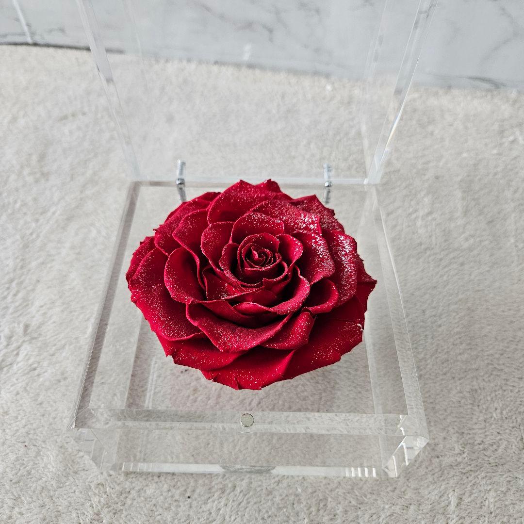 【美品】ミュゼ ダイヤモンドローズ ROSE GALLERY　外箱無し