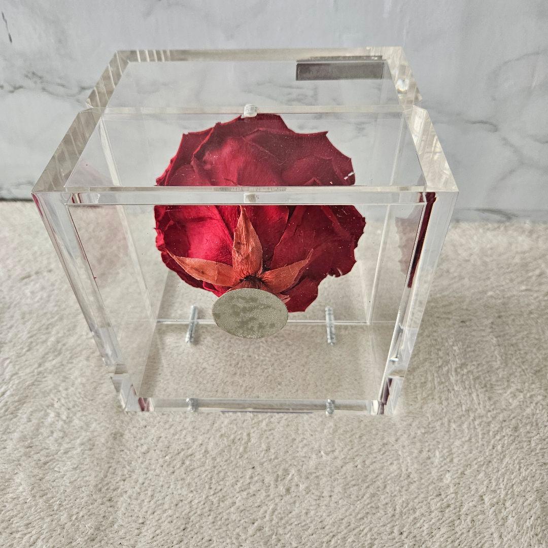 【美品】ミュゼ ダイヤモンドローズ ROSE GALLERY　外箱無し