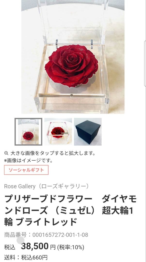 【美品】ミュゼ ダイヤモンドローズ ROSE GALLERY　外箱無し