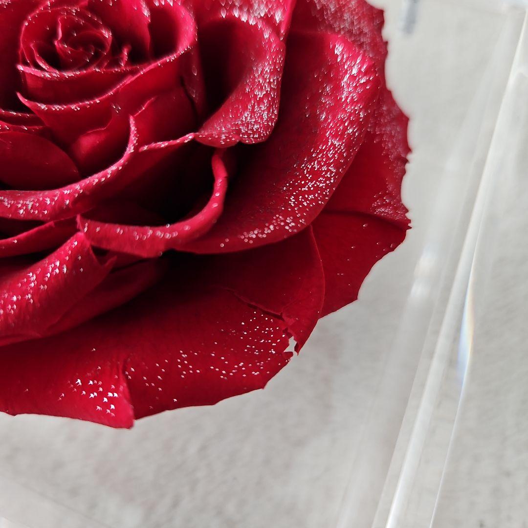 【美品】ミュゼ ダイヤモンドローズ ROSE GALLERY　外箱無し