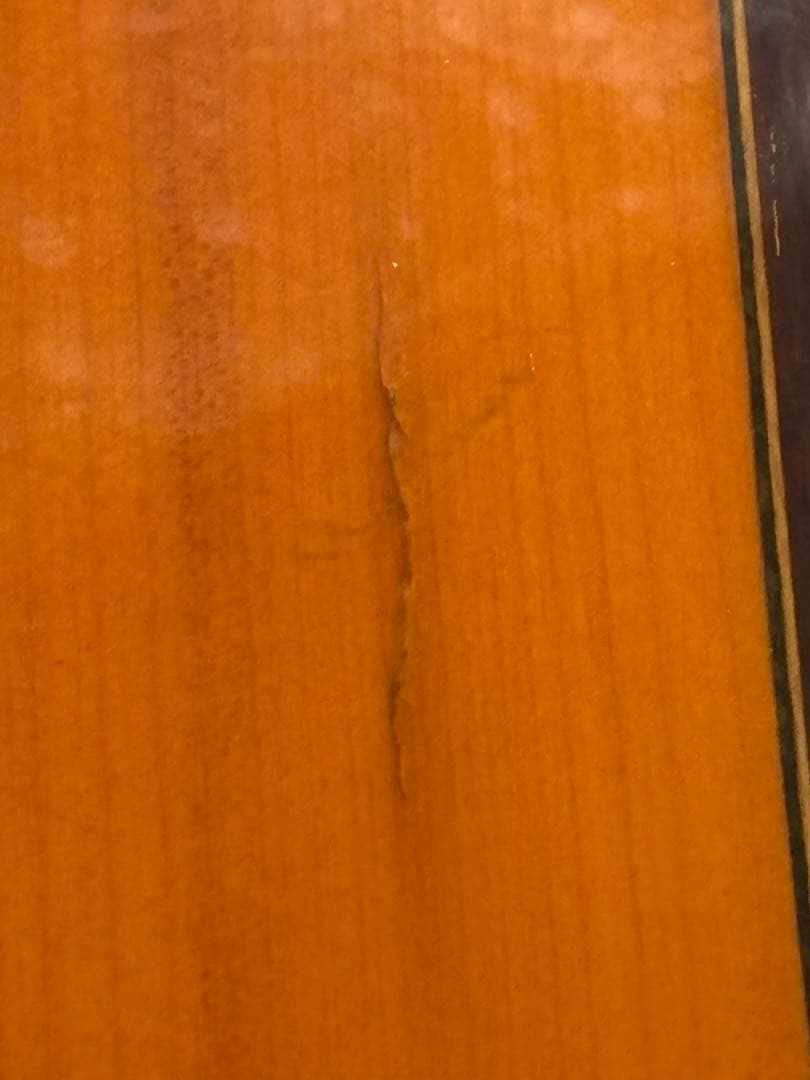 Real Musical, s.a.製/Laúd Español Model6