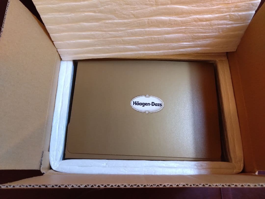 激レア　ハーゲンダッツ　Heavenly spoon 限定品　空箱　中身なし