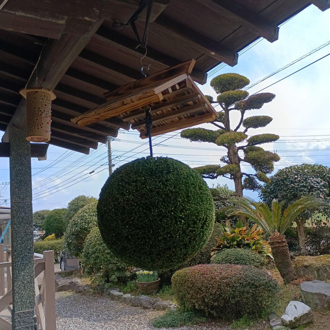 杉玉　直径約34ｃｍ　屋根付き