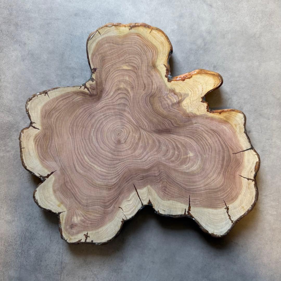 その他 Ocean Section -Rising Blue-