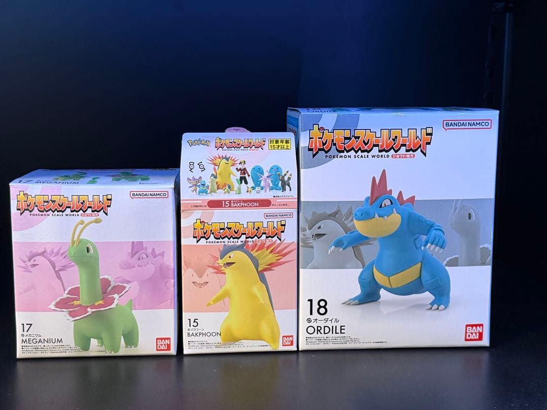 ポケモン　スケールワールド　ジョウト　御三家