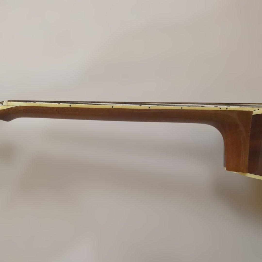 絶版・美品LumberランバーLD30VSアコースティックギター純正ケース＆弦付