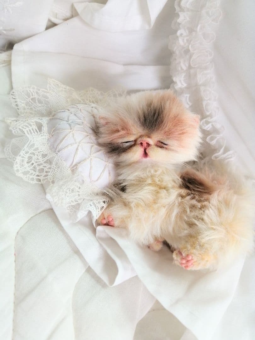 ふにゃっくた♡おねんね子猫ちゃん♡アートドール♡ぬいぐるみ♡