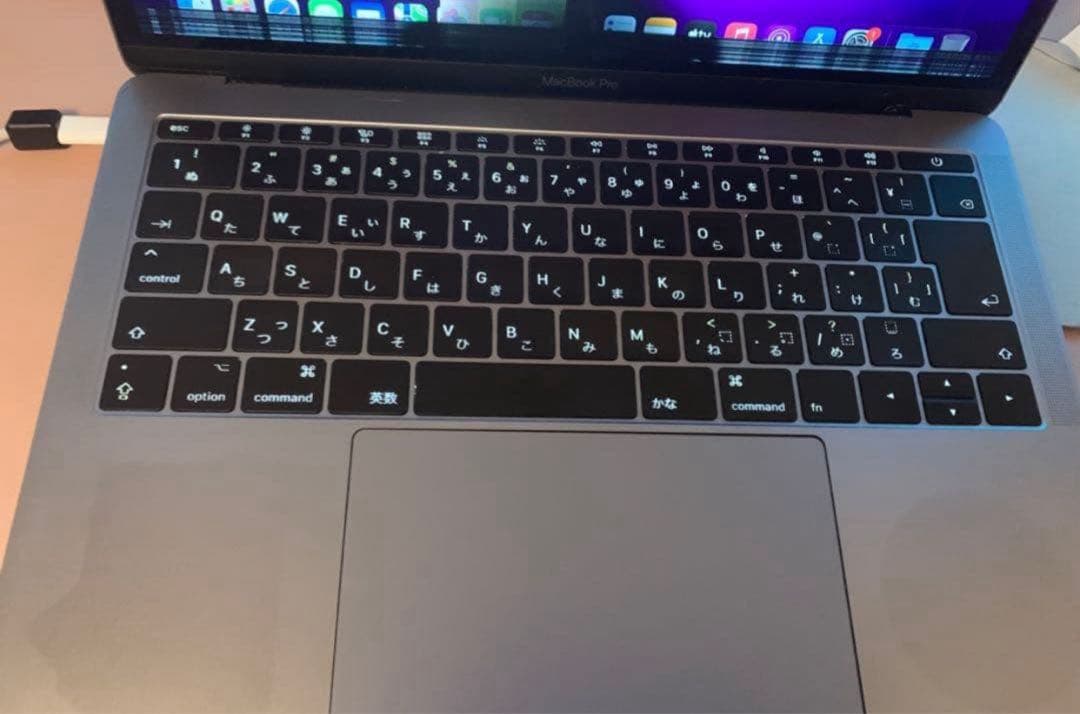 金*森様 【ジャンク】MacBook Pro 13インチ2016 8GB256G