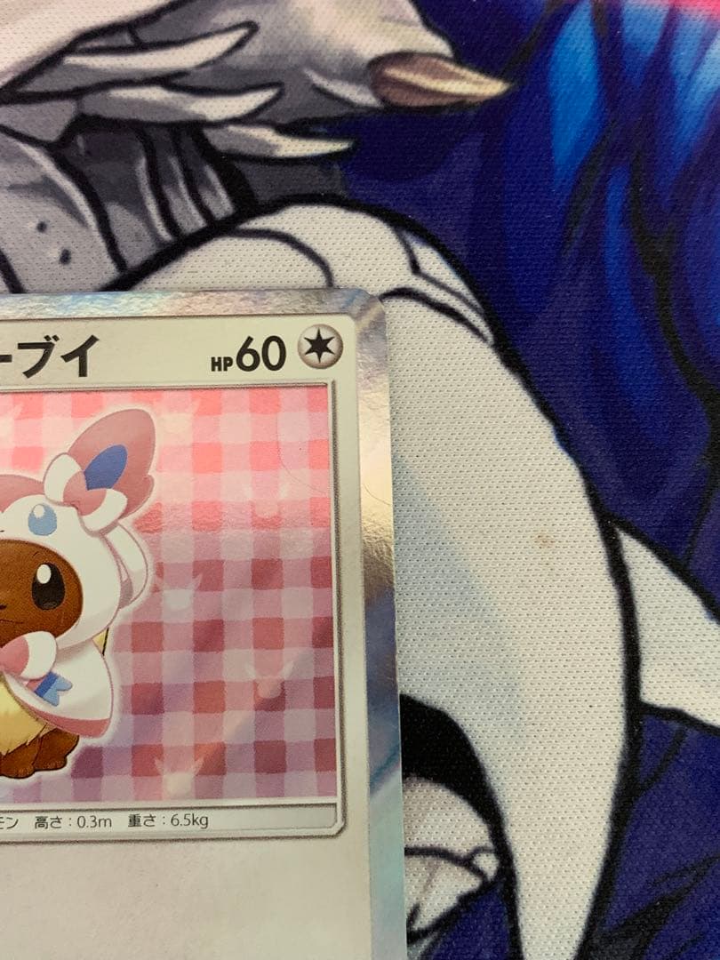 ポンチョを着たイーブイ　ニンフィア