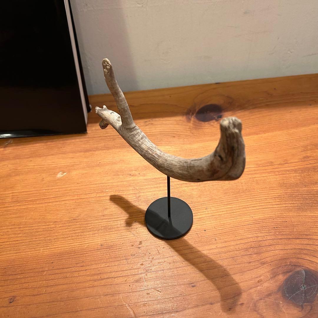 流木　ドリフトウッド　オブジェ