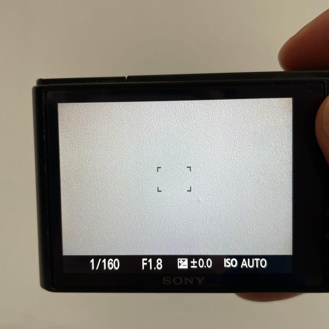 ソニー SONY DSC-RX100