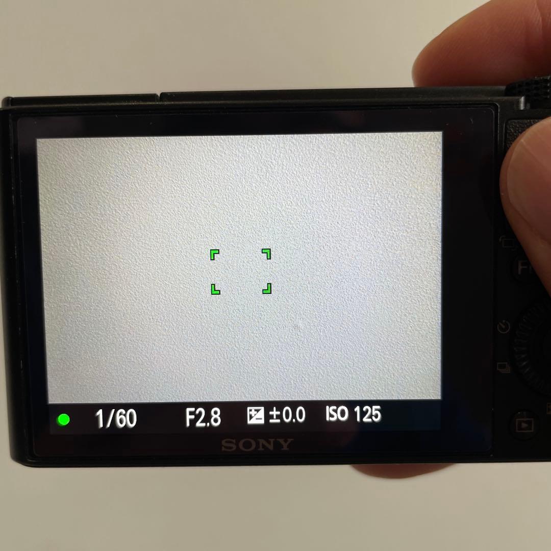 ソニー SONY DSC-RX100