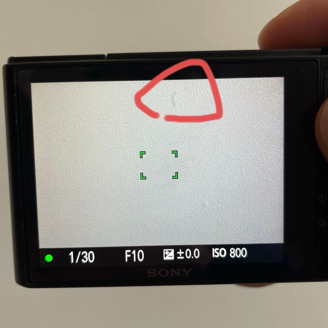 ソニー SONY DSC-RX100