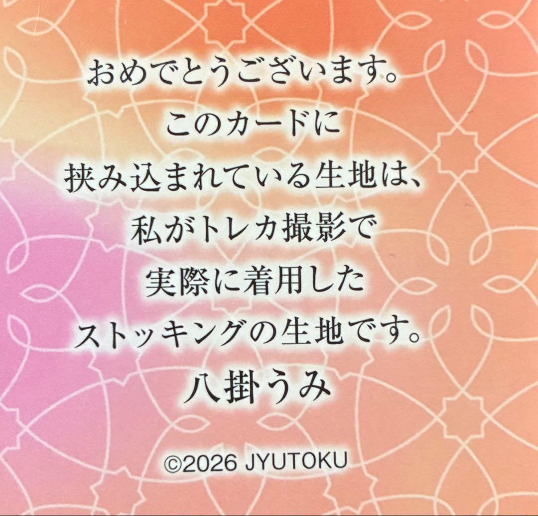 【美品】八掛うみ　オフィシャルカードコレクション Big Stockings