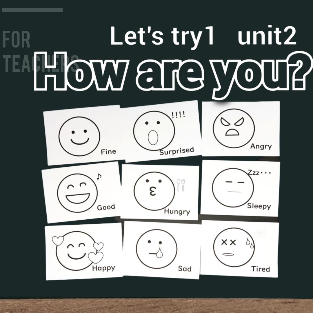 外国語活動　素材ぜんぶまとめ　評価まで♪　小学校教師用教材　手作り授業準備　紙版