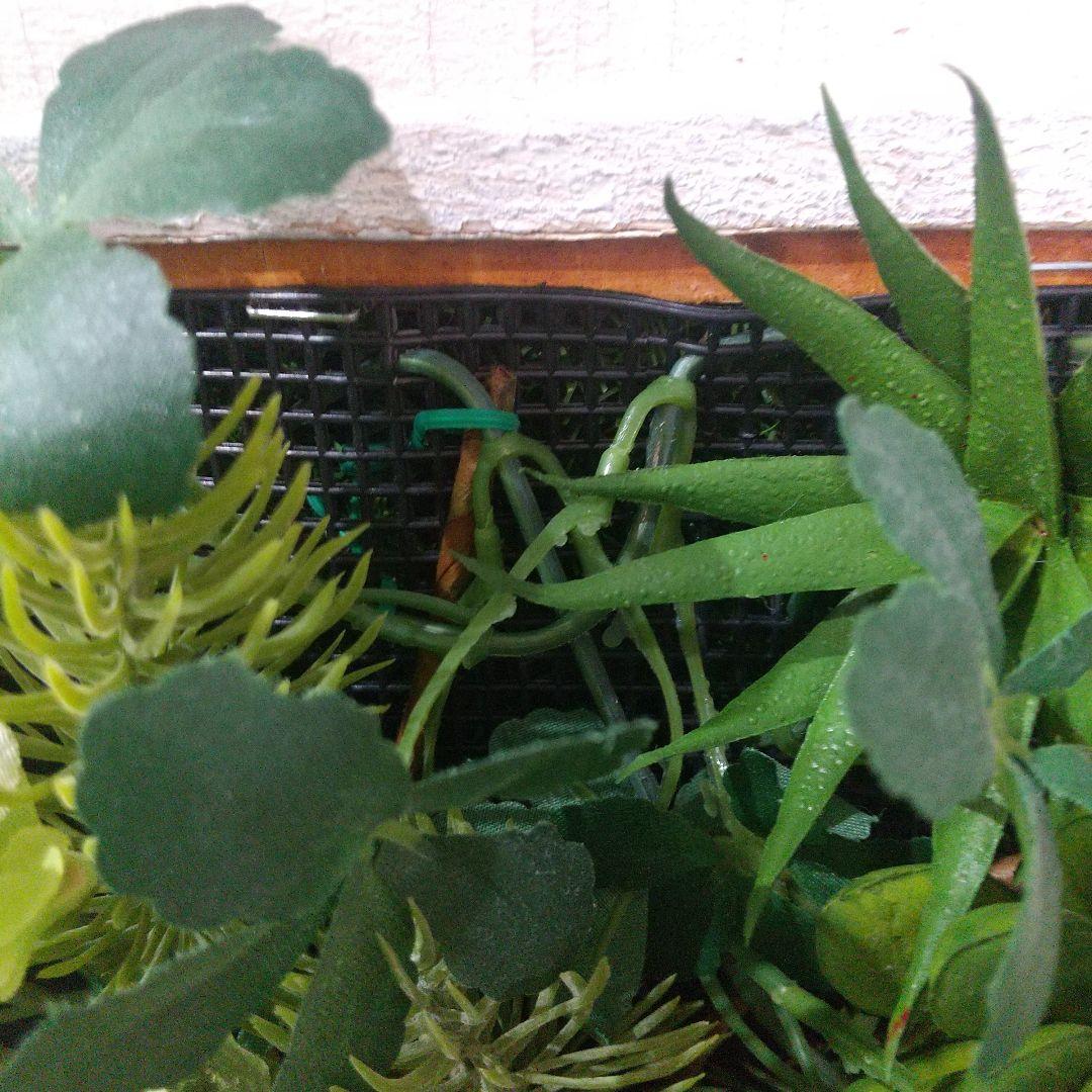 フェイクグリーン ピクチャーフレーム　ウォールグリーン　 インテリア