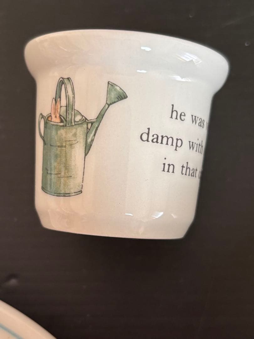 新品未使用❣️ ピーターラビット 食器セット モーニングセット