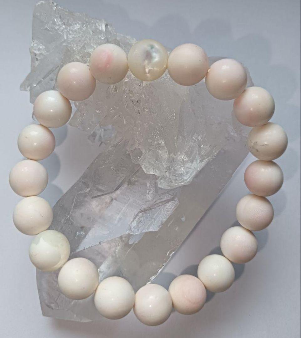 【高品質】愛と癒し☆クイーンコンシェル 内径約17cm 10mm