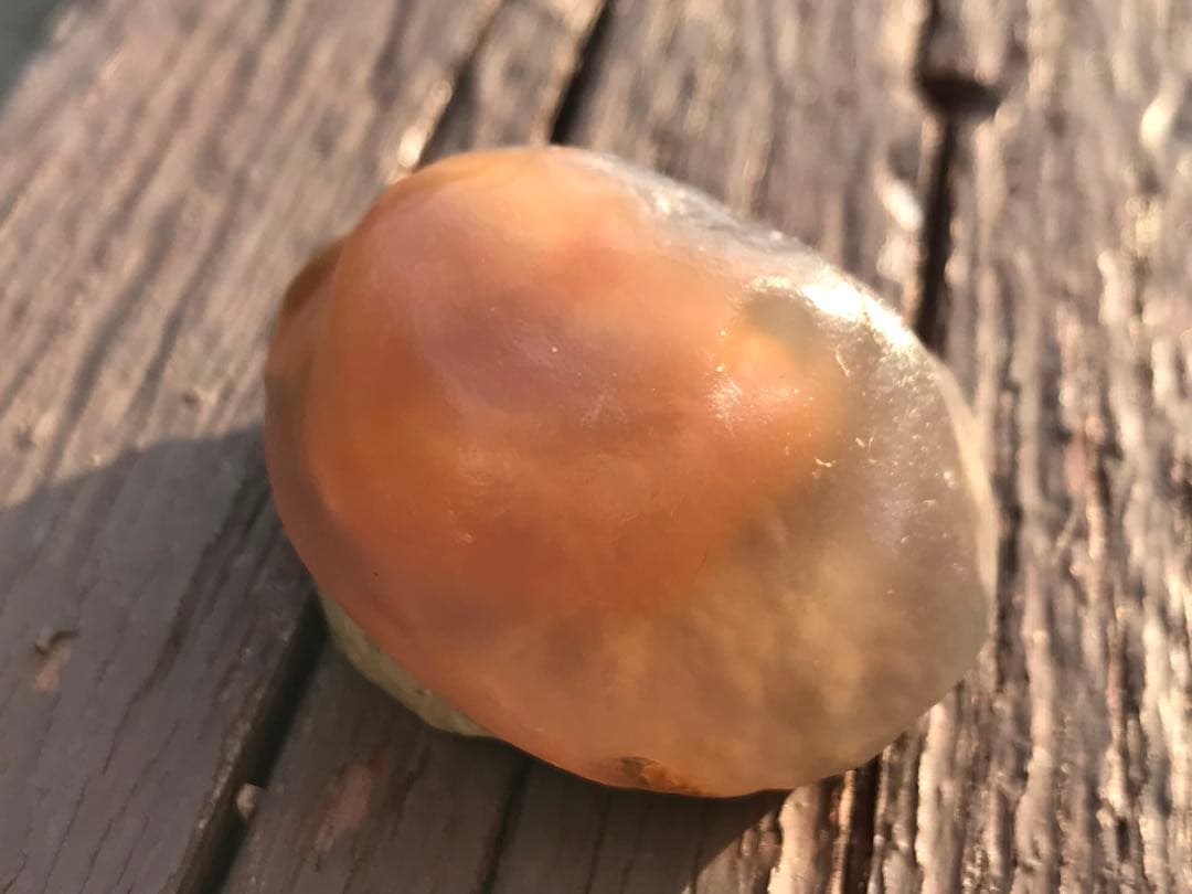 ゴビ石−1271 ゴビ瑪瑙　原石　オレンジ色