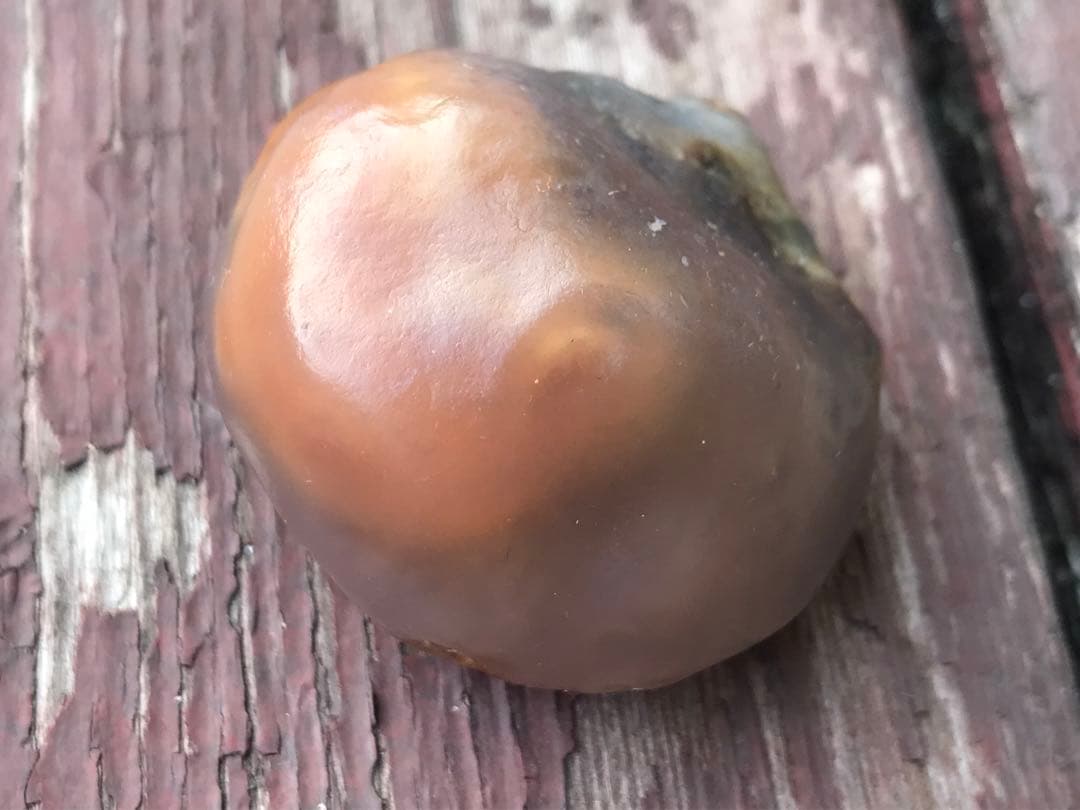 ゴビ石−1271 ゴビ瑪瑙　原石　オレンジ色