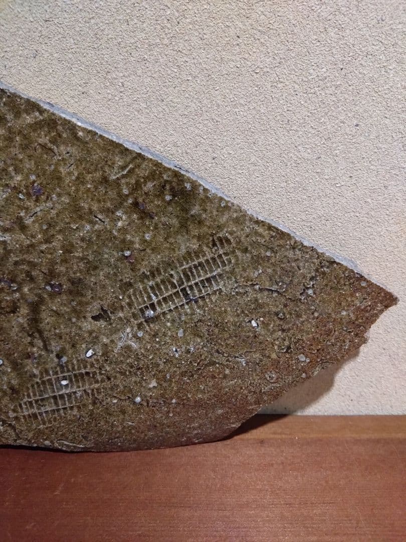 常滑 自然釉 経甕 陶片 平安時代