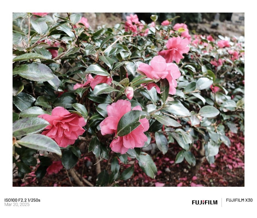 FUJIFILM デジタルカメラ FX-X30 シルバー