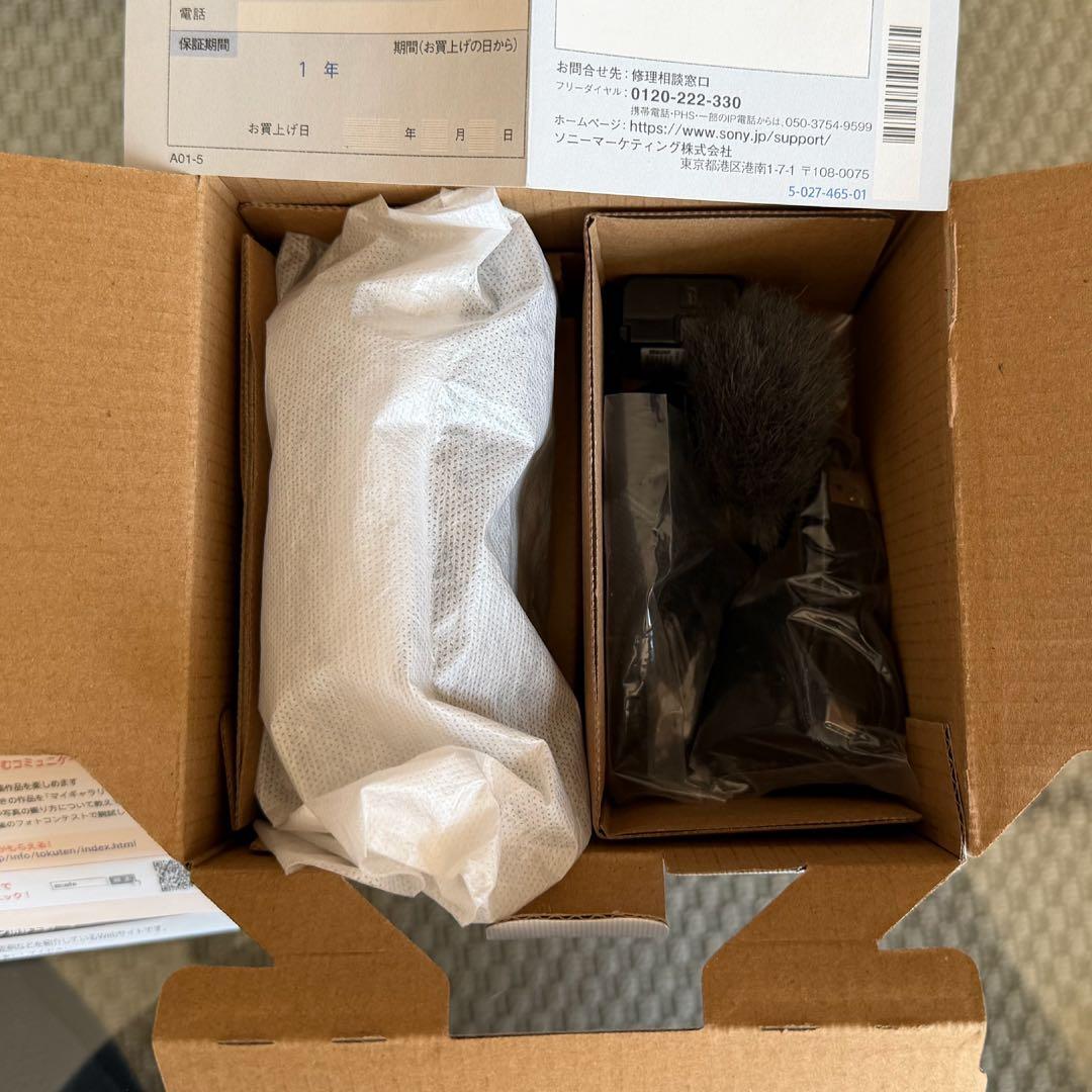 380枚 SONY ZV-E10 ミラーレス 本体