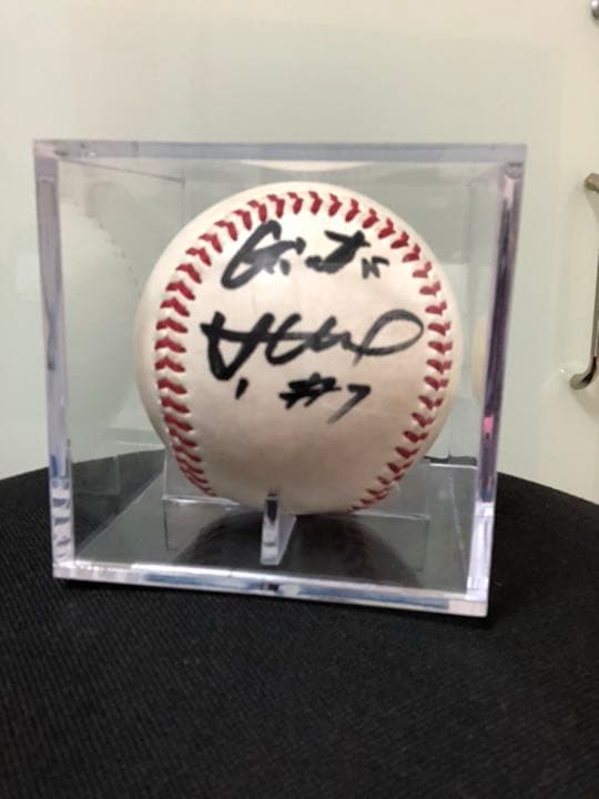 巨人 長野サインボール