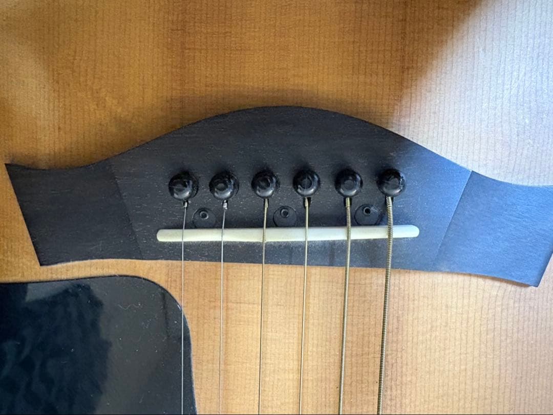 Taylor 110e-SB エレアコ 純正ケース付 調整済 即演奏可