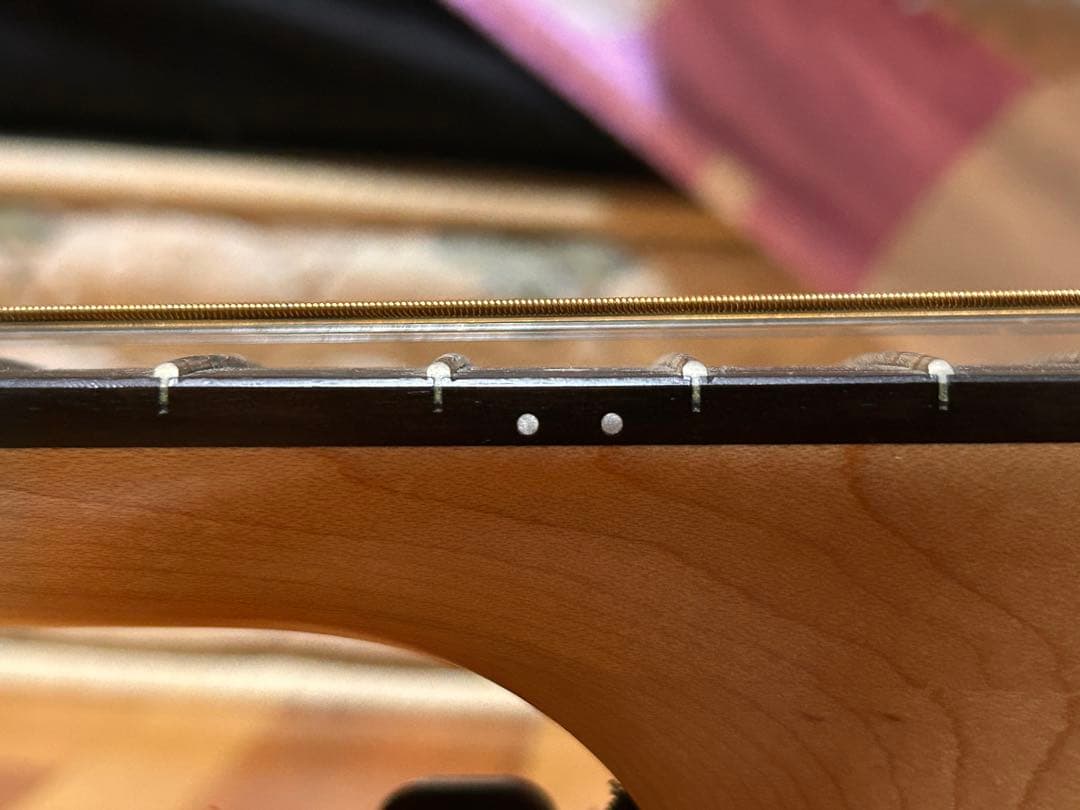 Taylor 110e-SB エレアコ 純正ケース付 調整済 即演奏可