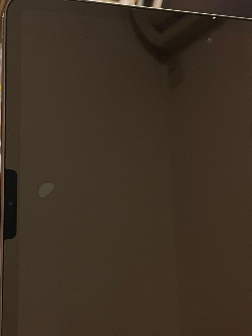 【美品】iPad Pro 12.9インチ4代目256 GB ￼