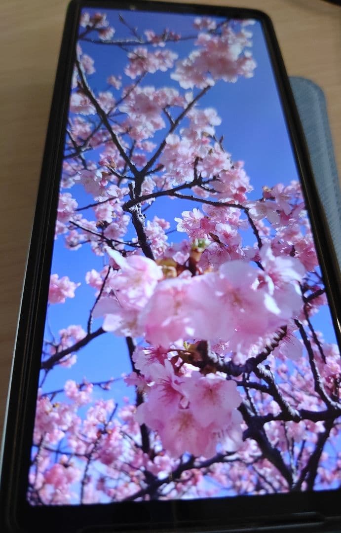 たび Sony Xperia 5v SIMフリー 容量256G