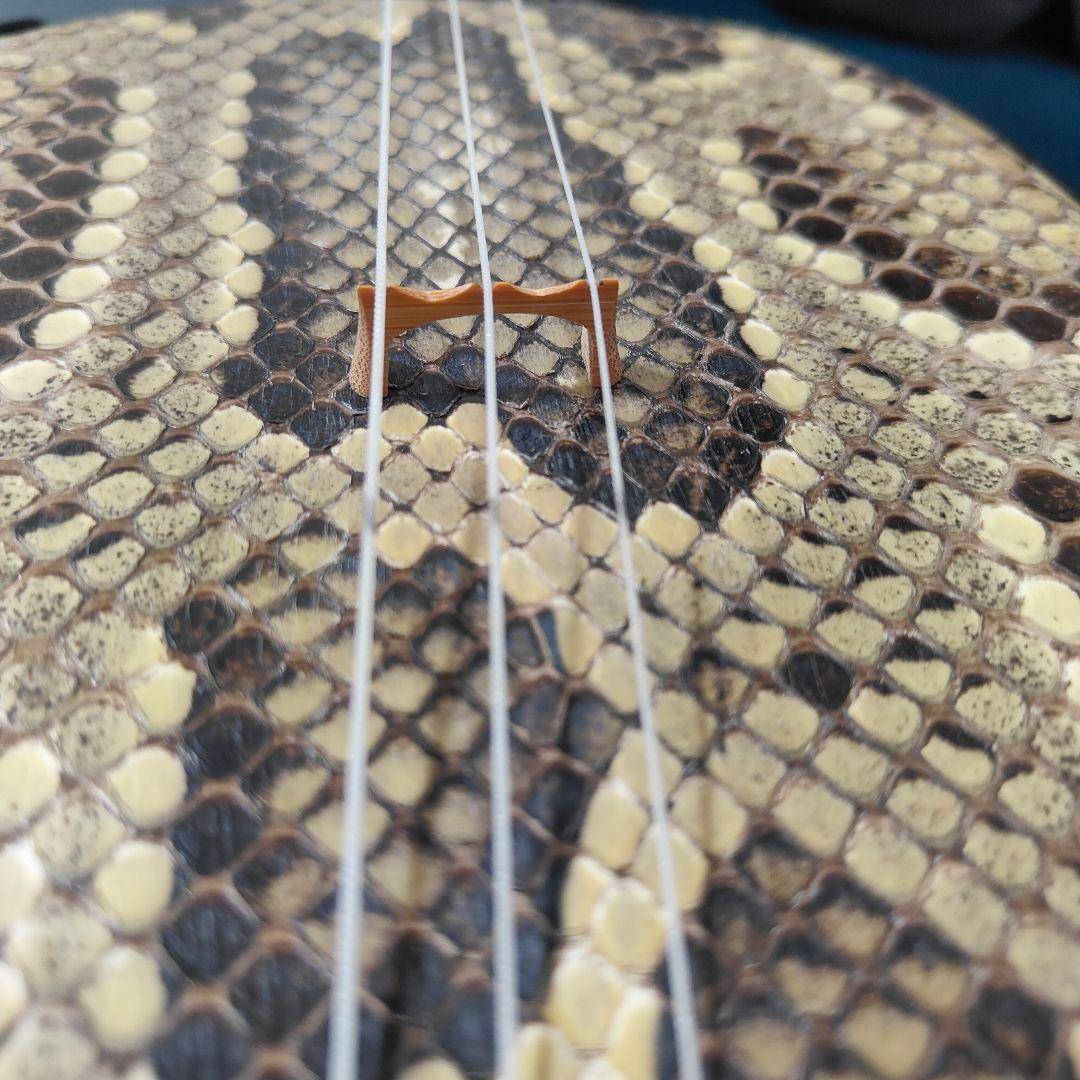 沖縄 琉球 三線 本蛇皮 蛇革 強化貼り 初心者　入門 ケース付き