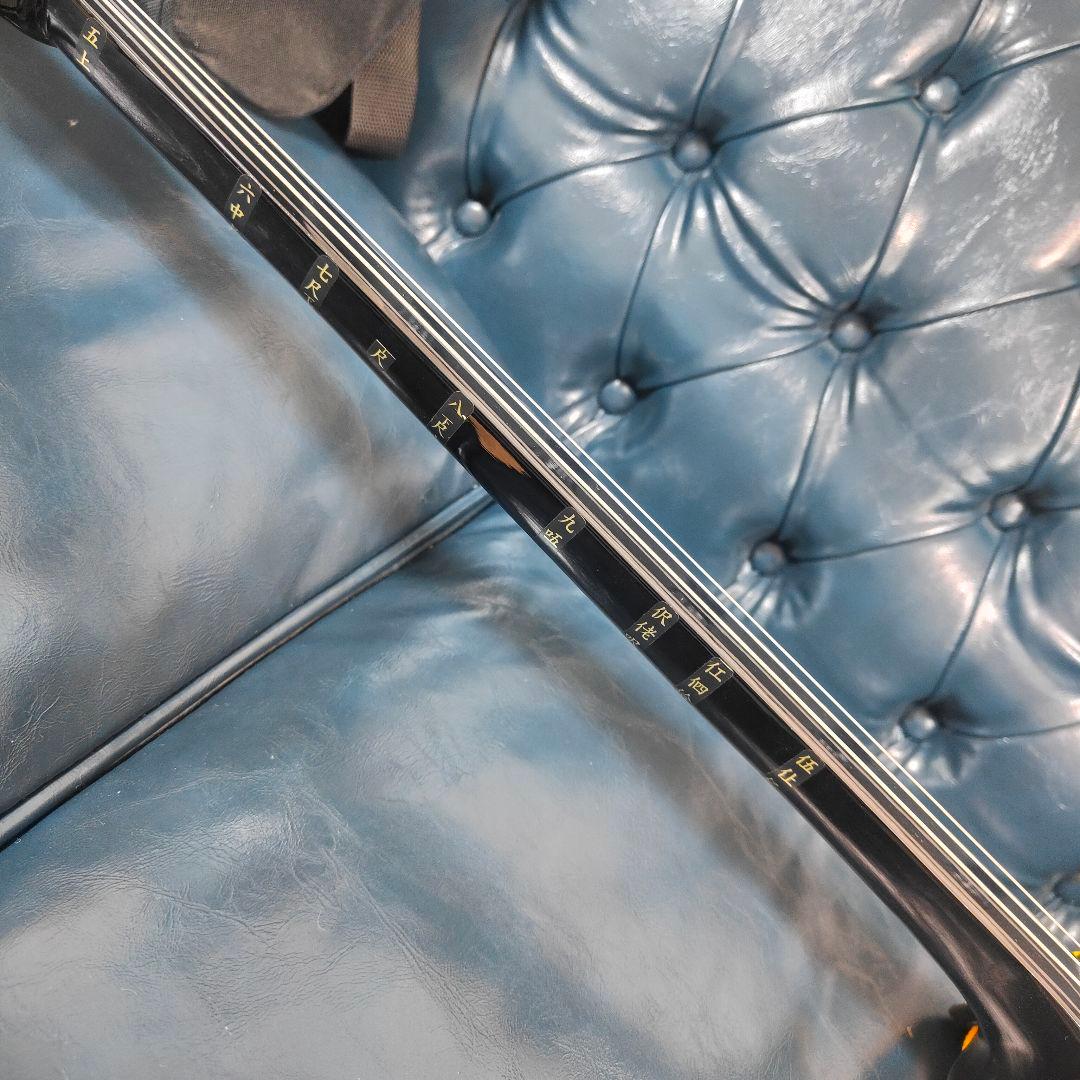 沖縄 琉球 三線 本蛇皮 蛇革 強化貼り 初心者　入門 ケース付き