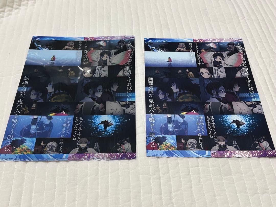 鬼滅の刃 キャラクターフライヤー＆クリアファイルセット 冨岡義勇 胡蝶しのぶ