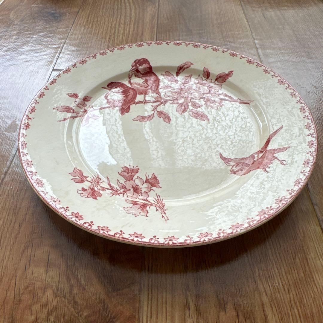 サルグミンヌFavoriシリーズ平皿