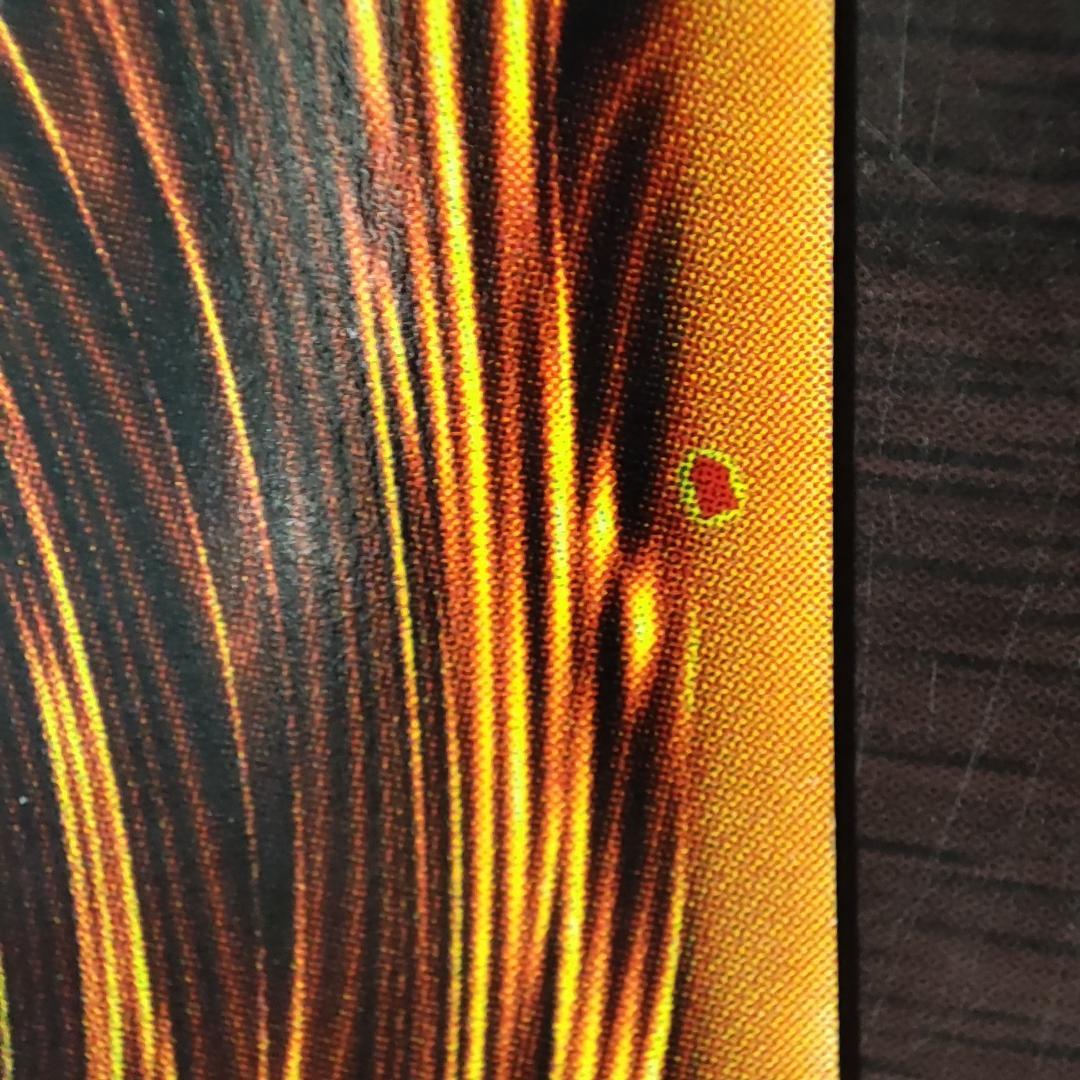 遊戯王　印刷エラー　印刷ミス　ダークネクロフィア　エラーカード　ウルトラレア