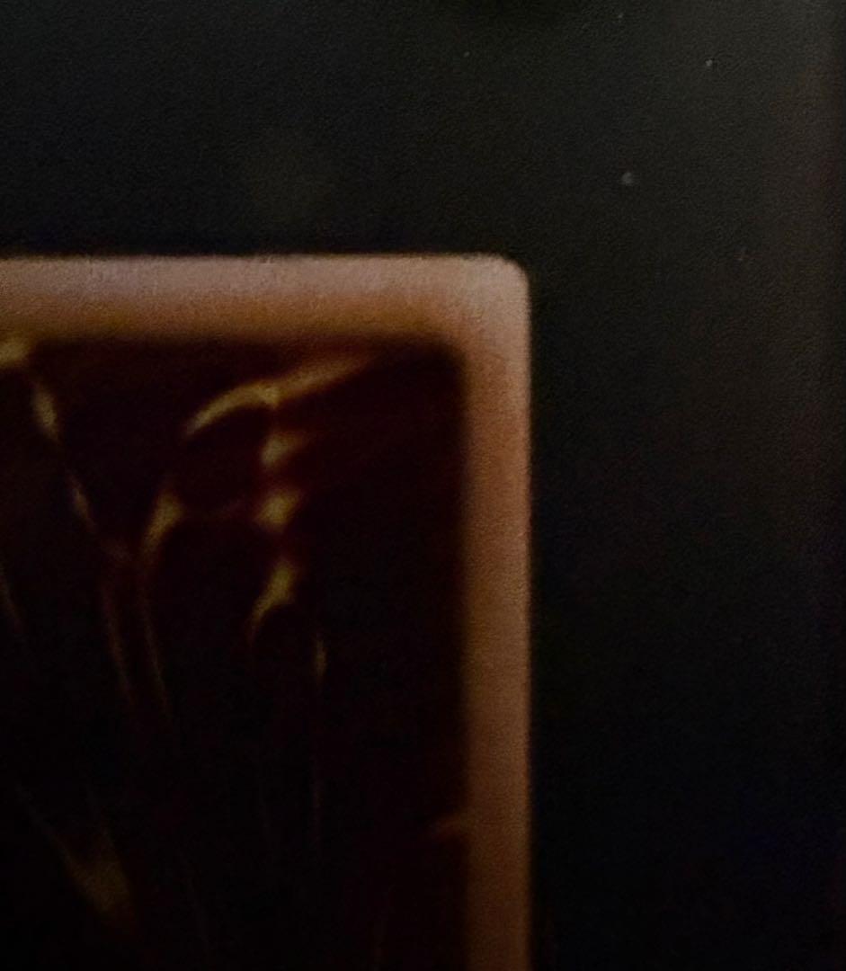 遊戯王 破壊竜ガンドラ ステンレス